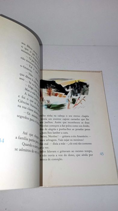 A Casa do pato Azul - Biblioteca Infantil
