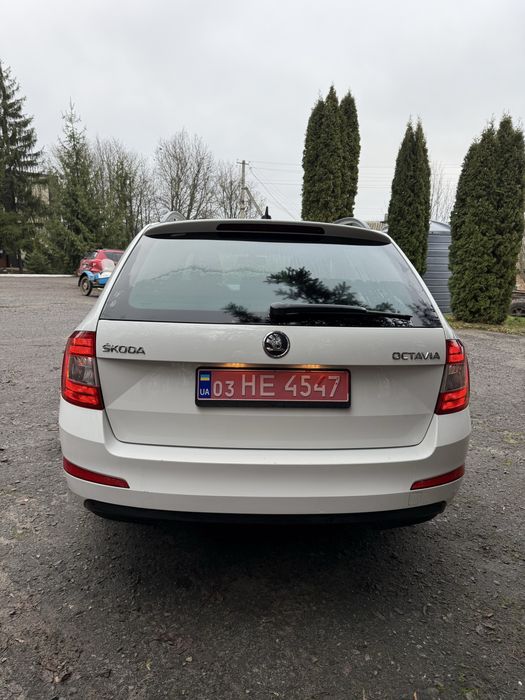 Skoda octavia 7 Шкода октавія а 7