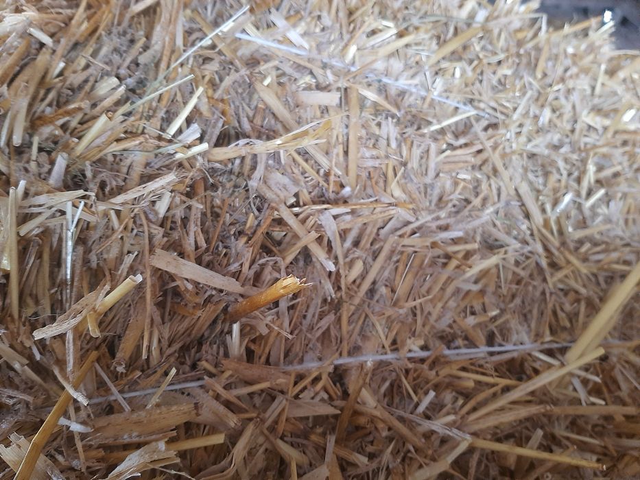 Тюки пшеничної та вівсяної соломи