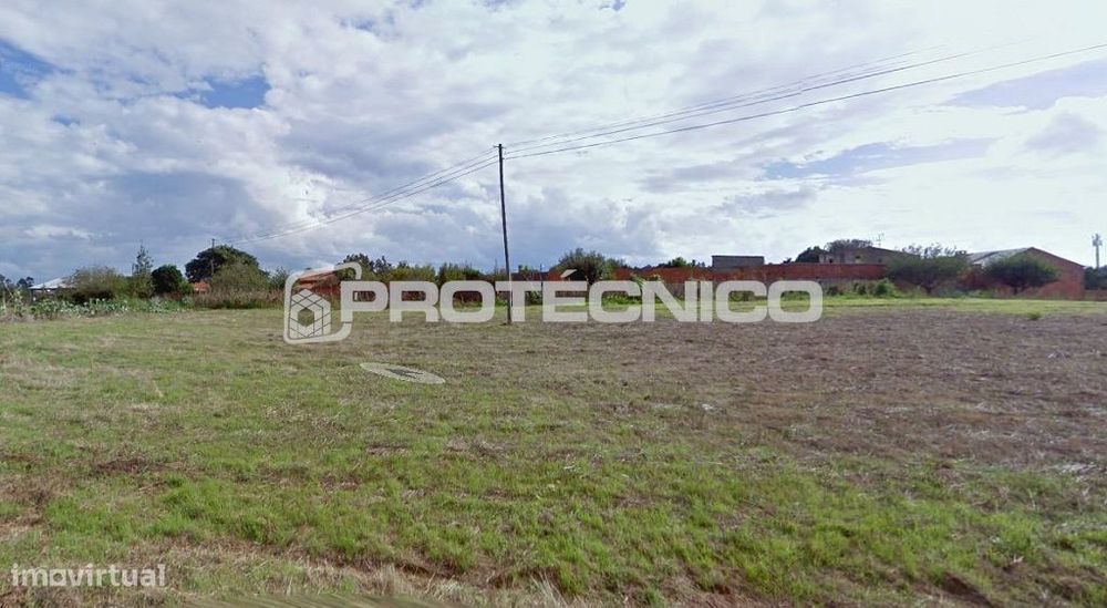 Terreno c/ 6.000m2 – Mamarrosa — Bustos, Troviscal E Mamarrosa, Aveiro