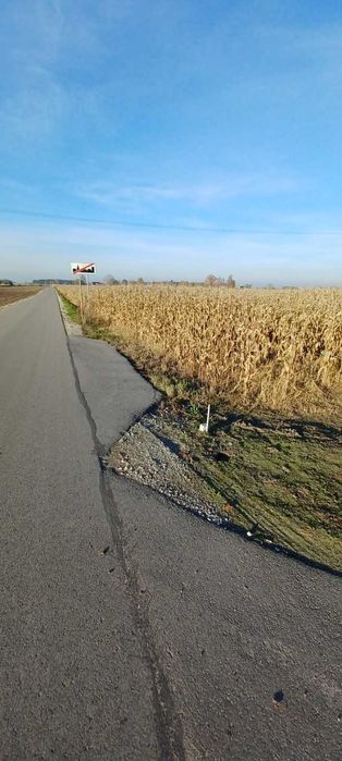 Sprzedam ziemie 5,83h