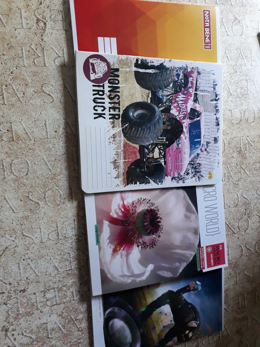 Зошити предметні 48 аркушів - клітинка