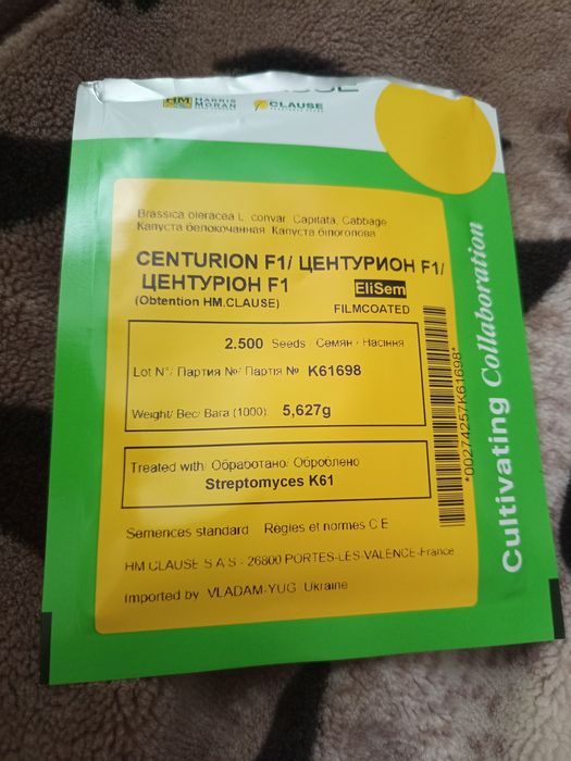 Насіння Нідерланди, голландське