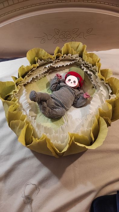 Капуста для фотосесії новонароджених, атрибути для фото, фотозона