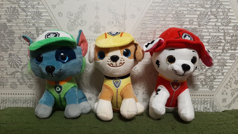 Щенячий патруль головні герої Скай, Еверест, Гонщик та їх друзі