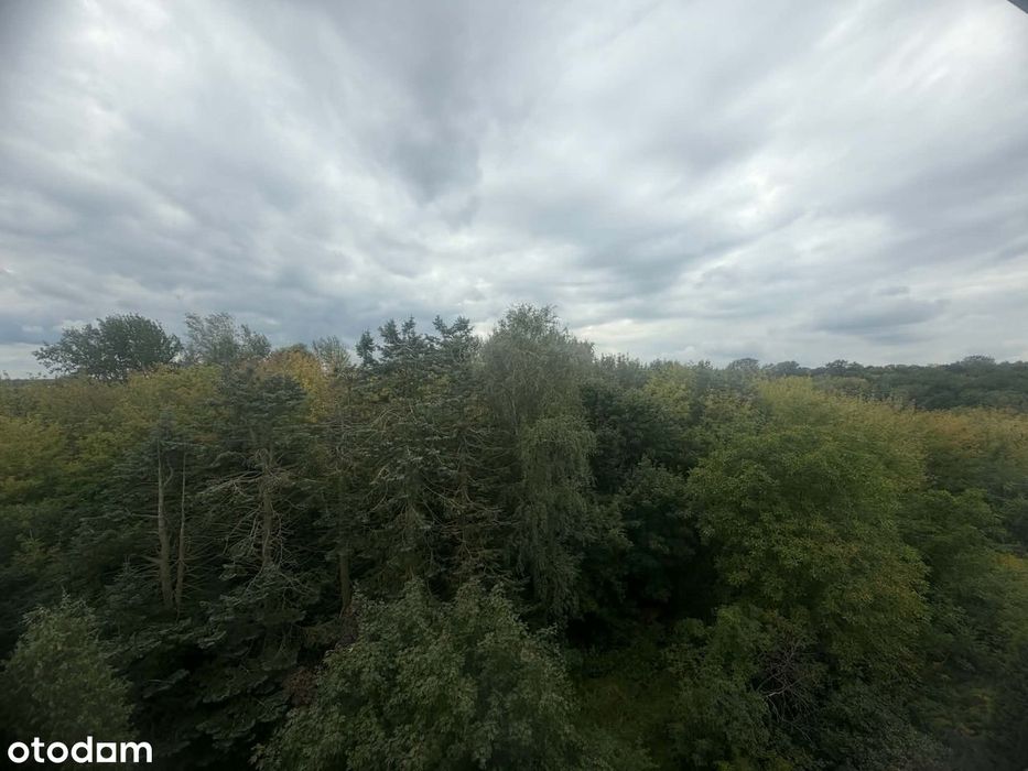 Zdjęcie 8