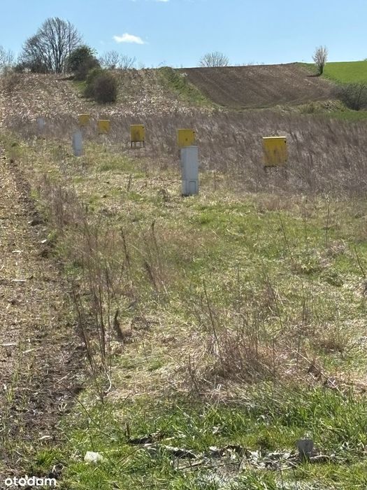 Działki budowlane Nakło śląskie