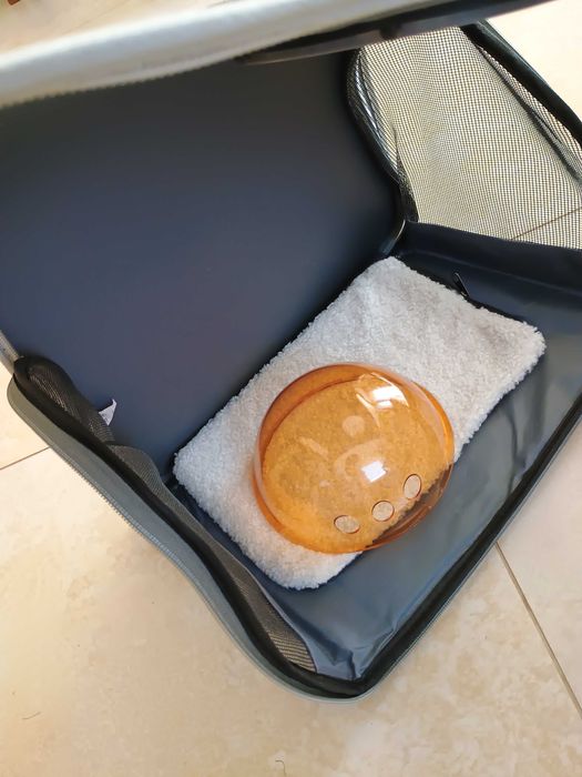 Transporter dla małego zwierzaczka