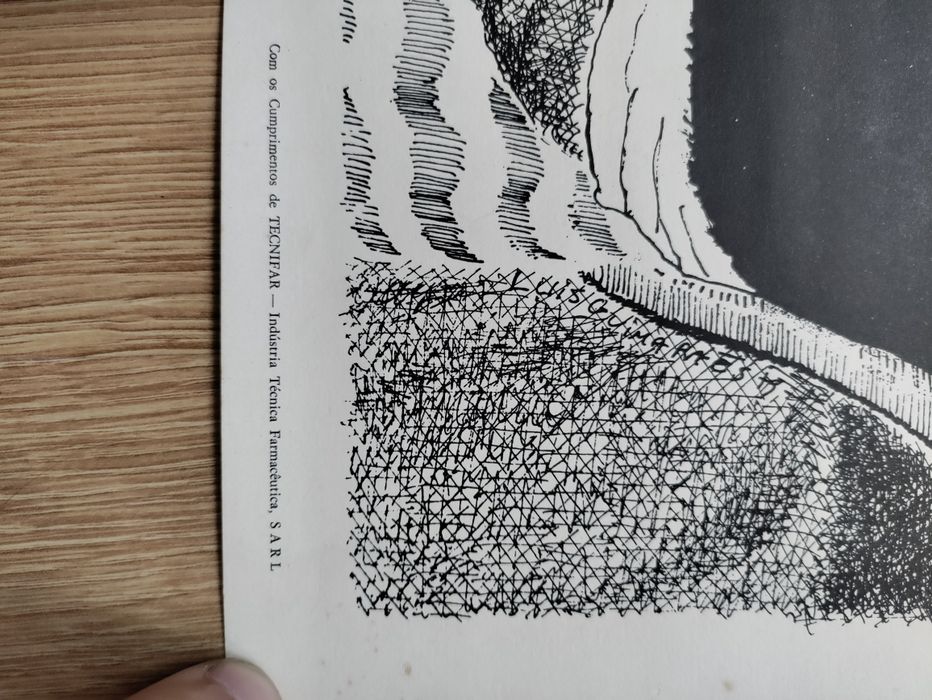 Xilogravura Dom Quixote