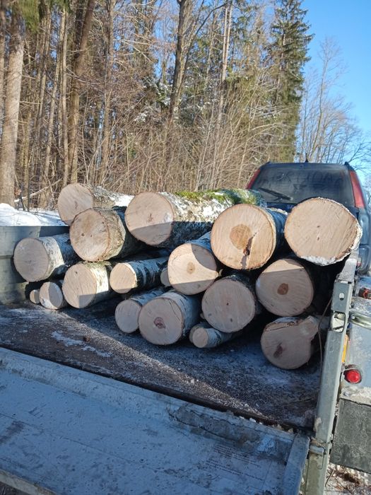 Sprzedam drewno opalowe