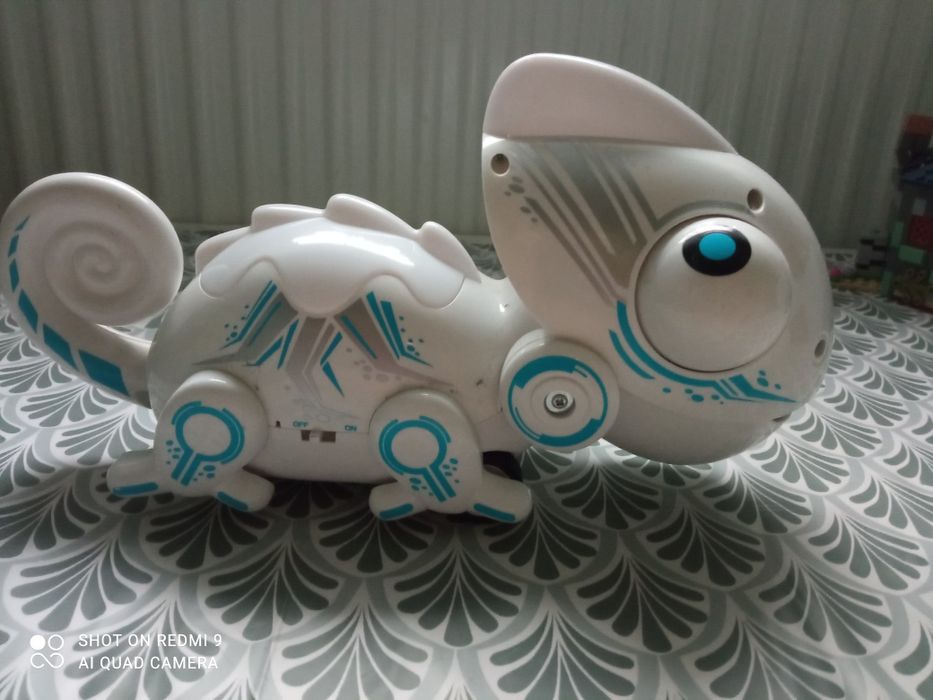 Kameleon interaktywny