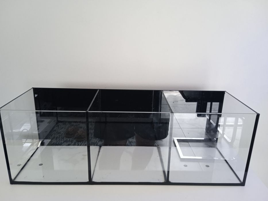 Aquário 60x20x25 dividido em 3 novo