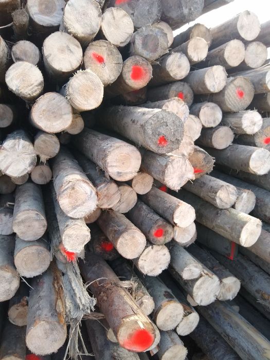 Stemple budownale, żerdzie na huśtawki lub ogrodzenia