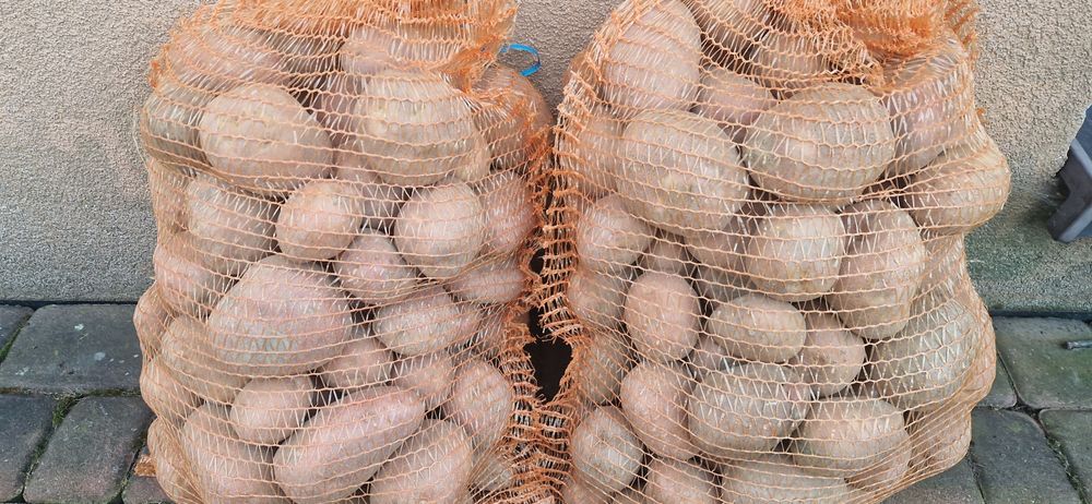 Ziemniaki bellarosa redsonia