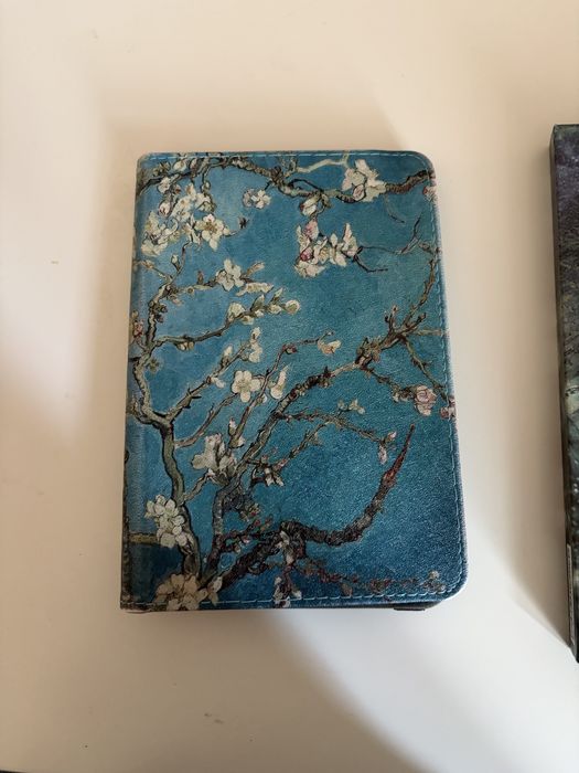 czytnik inkbook calypso plus (dołączam etui)
