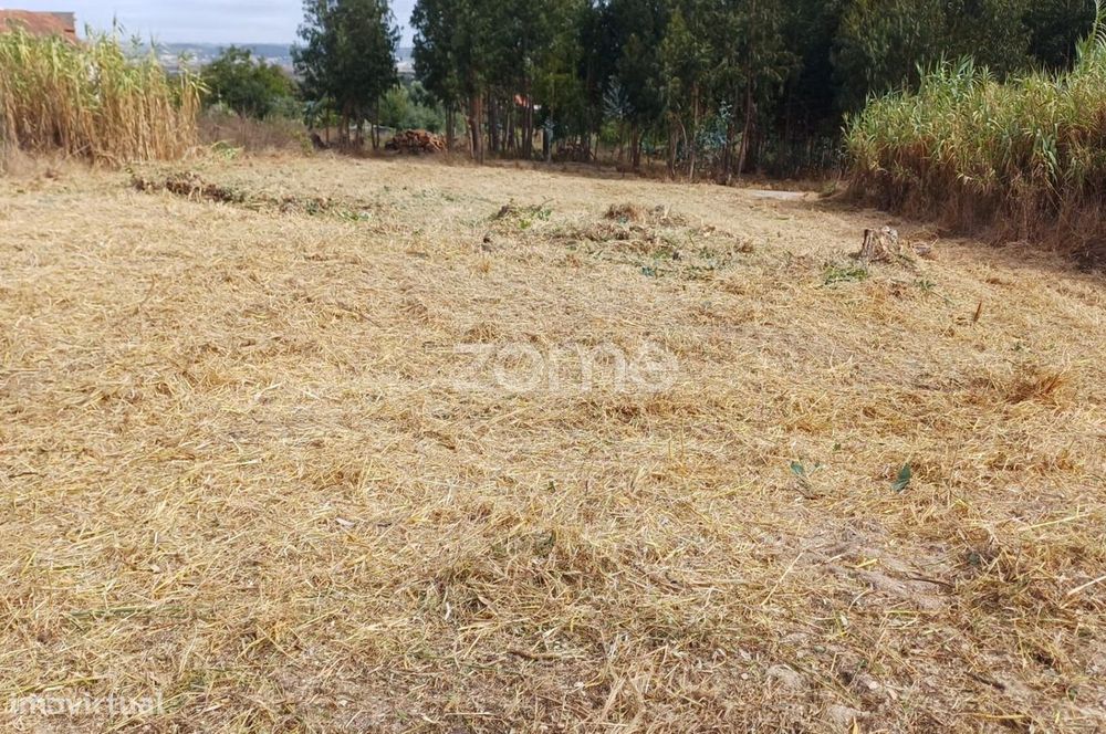 Construction Plot | Detached House in Lavos | Opportunity