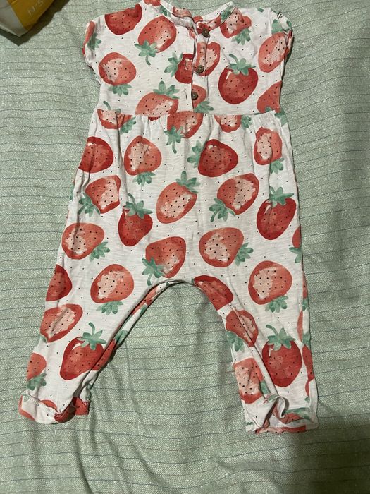 Пісочник полуничка