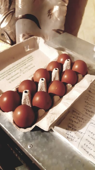 Продам инкубационное  яйцо марана медного