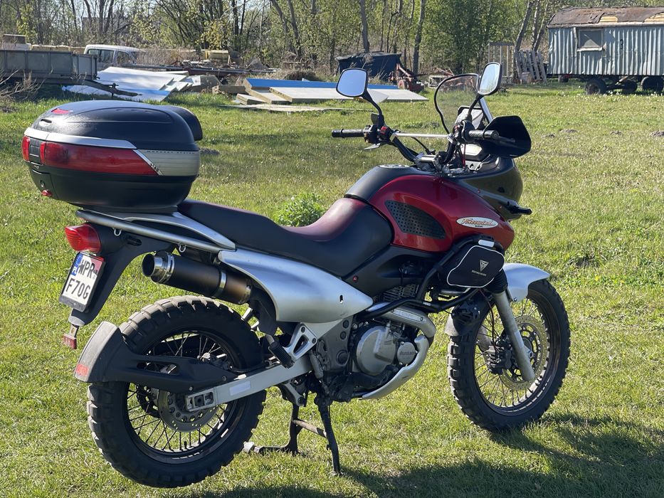 Suzuki XF 650 Freewind