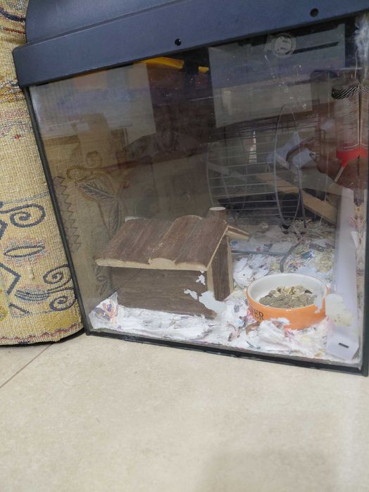 Akwarium/ terarium dla gryzoni