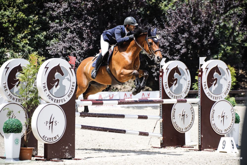 Cavalo castrado a saltar 1.30m