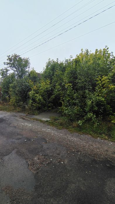 Продаж в с. Гуменники (15 км.від м. Коростишів) будинку та ділянки 25 сот.