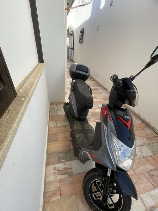 Mota eletrica goose two