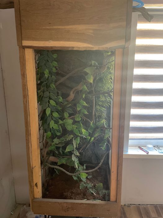 Terarium dla kameleona