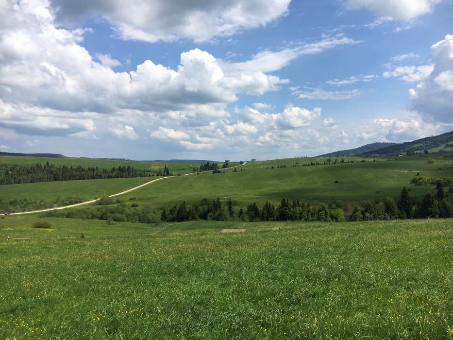 Земельна ділянка с. Верхній Турів Карпати