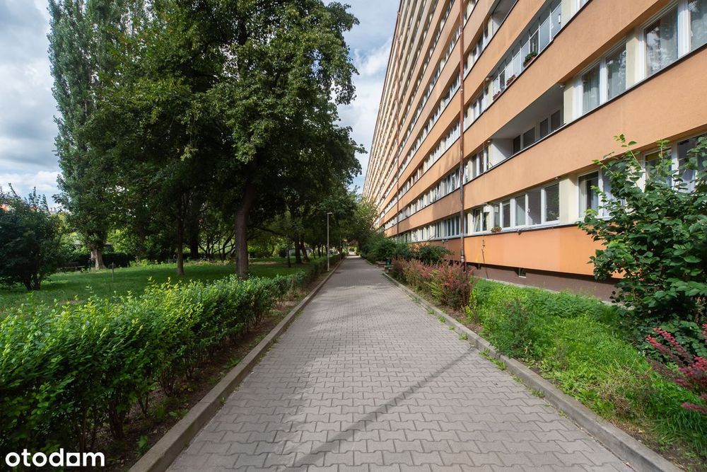 3 pokoje | po remoncie | media miejskie | przy UE!