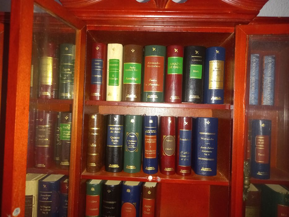 Biblioteca miniatura