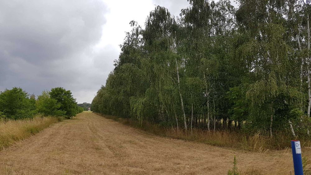 Działka, grunt przeznaczony pod budowę 4000 m²