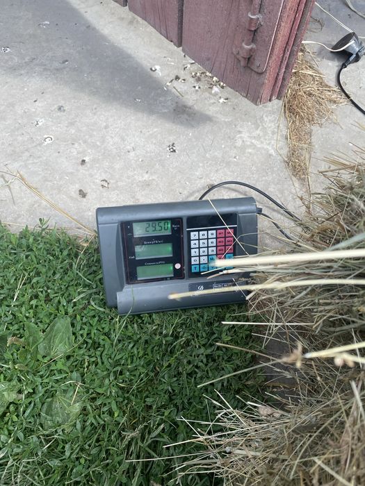 Продам сіно недорого. В тюках