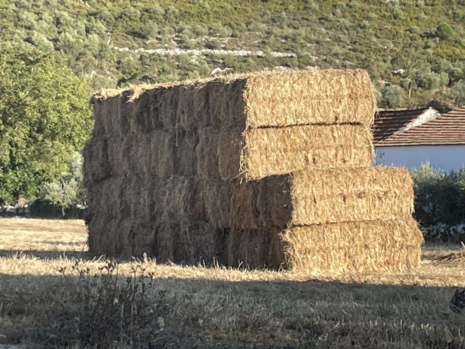 Fardos de palha de 4 cordoes