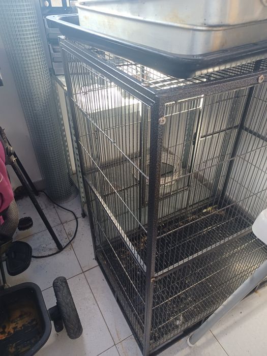 Vendo gaiola e viveiro