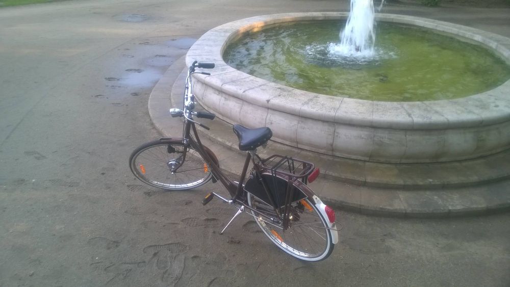 Gazelle, 50 letni rower
