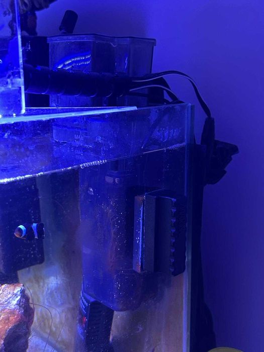 Skimmer SK-300 para aquarios até 95l