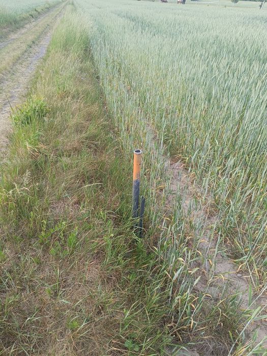 Działki z możliwością budowy - Widok 4