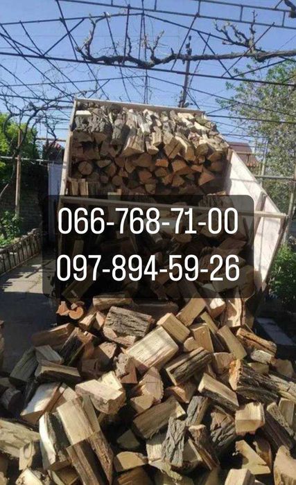 Дрова акация береза ясень ольха дуб сосна тополь ива уголь брикеты