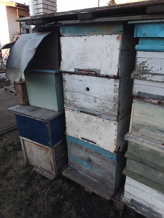 вулики корпусні  б у