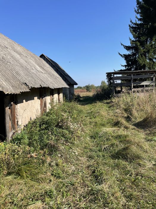 Будинок хутір біля Полиць