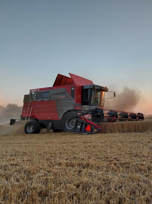 Massey Ferguson 7274 brutto CEREA
