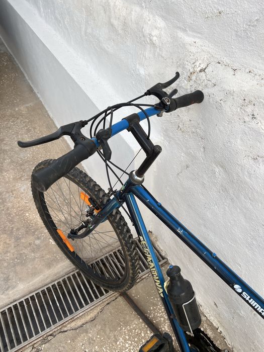 Bicicleta casual
