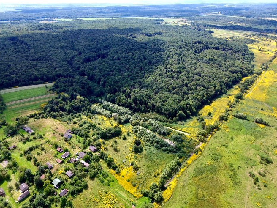 Продаж ділянки 2.1 га. з озерами та приляганням до лісу