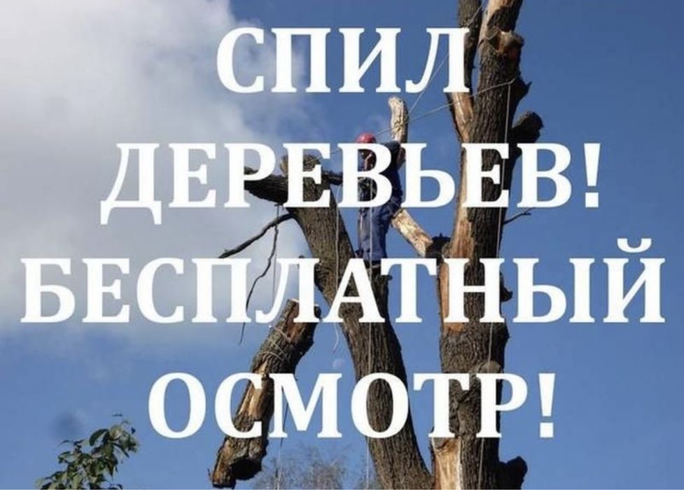 Спилить дерево, обрезка, удалить кронировать !