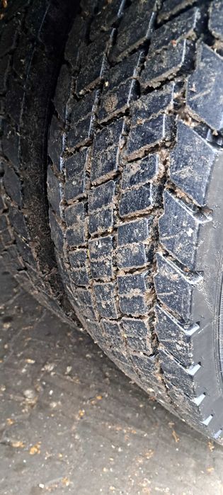 Volvo z wydmuchem do paszy