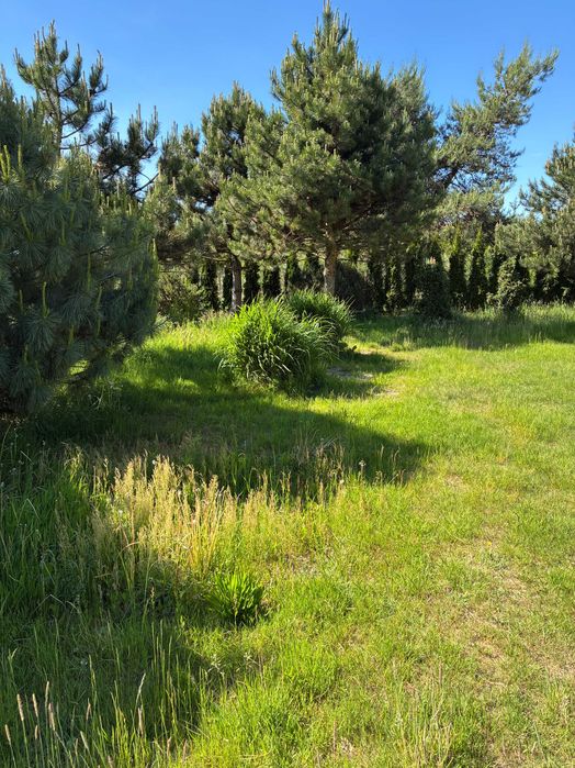 Działka budowlana - Dobieszków k. Łodzi - bezpośrednio - 2184m - zieleń, cisza, natura blisko miasta - More