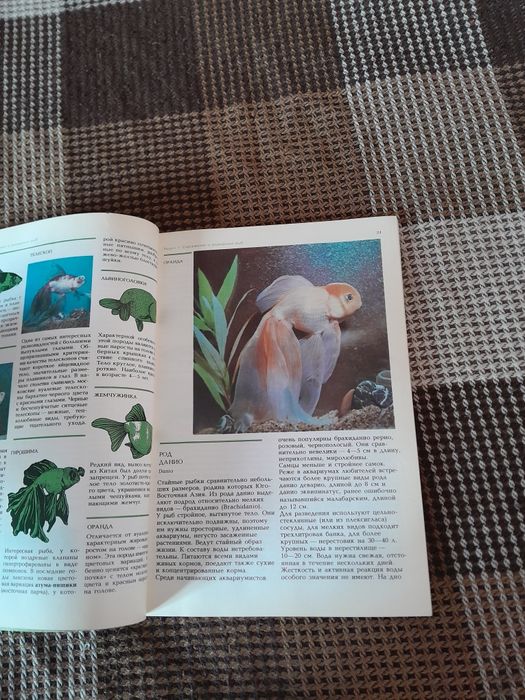 Книга світ акваріума
