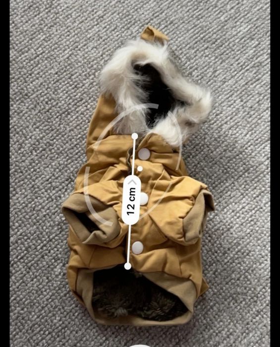 Kurtka XS dla małego pieska