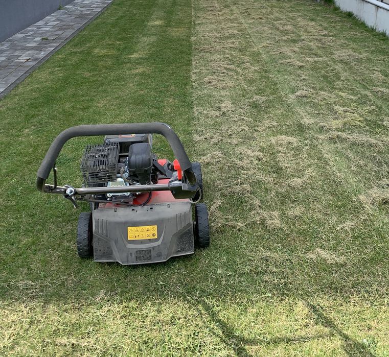 maszynowe wyczesywanie trawnika z filcu, wertykulacja trawnika